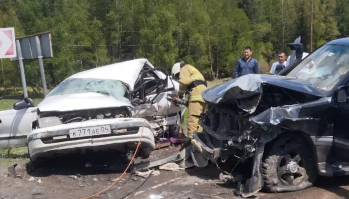 Житель Монголии проведет два года в колонии за смертельное ДТП на Чуйском тракте