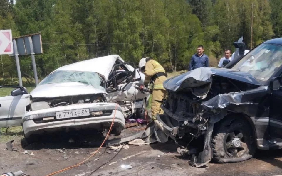Житель Монголии проведет два года в колонии за смертельное ДТП на Чуйском тракте