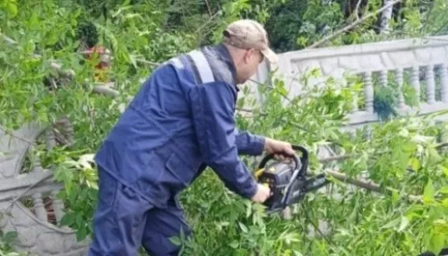 На одном из кладбищ Барнаула за 2 млн рублей приведут в порядок забор