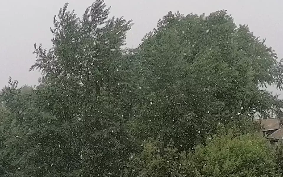 Жителей Новосибирской области поразил ледяной дождь в мае. Видео