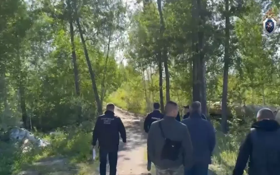 Челябинского таксиста обвиняют в изнасиловании и убийстве молодой пассажирки