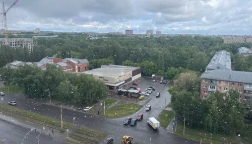 Алтайский край за пять дней до лета засыпало снегом. Фото