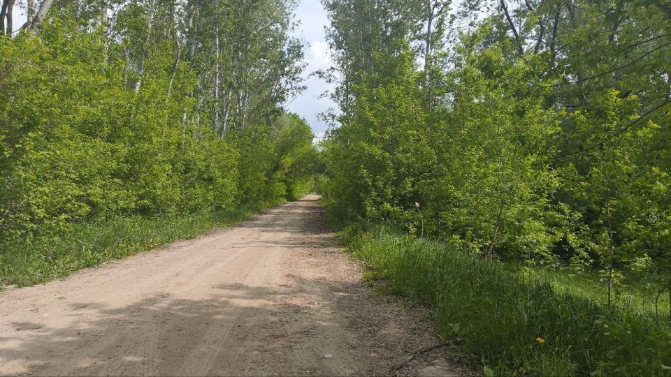 Дорога к Старой речке