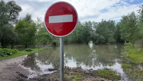 Уровень воды в Оби вблизи Затона на 13 см превысил критическую метку