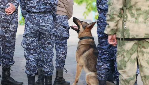 Иностранец попытался в паспорте подсунуть взятку пограничнику в Алтайском крае
