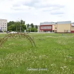 Территория на Южном лидирует в голосовании за благоустройство в 2026 году в Барнауле