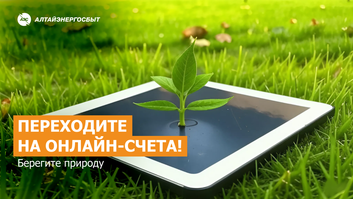 Онлайн-счета