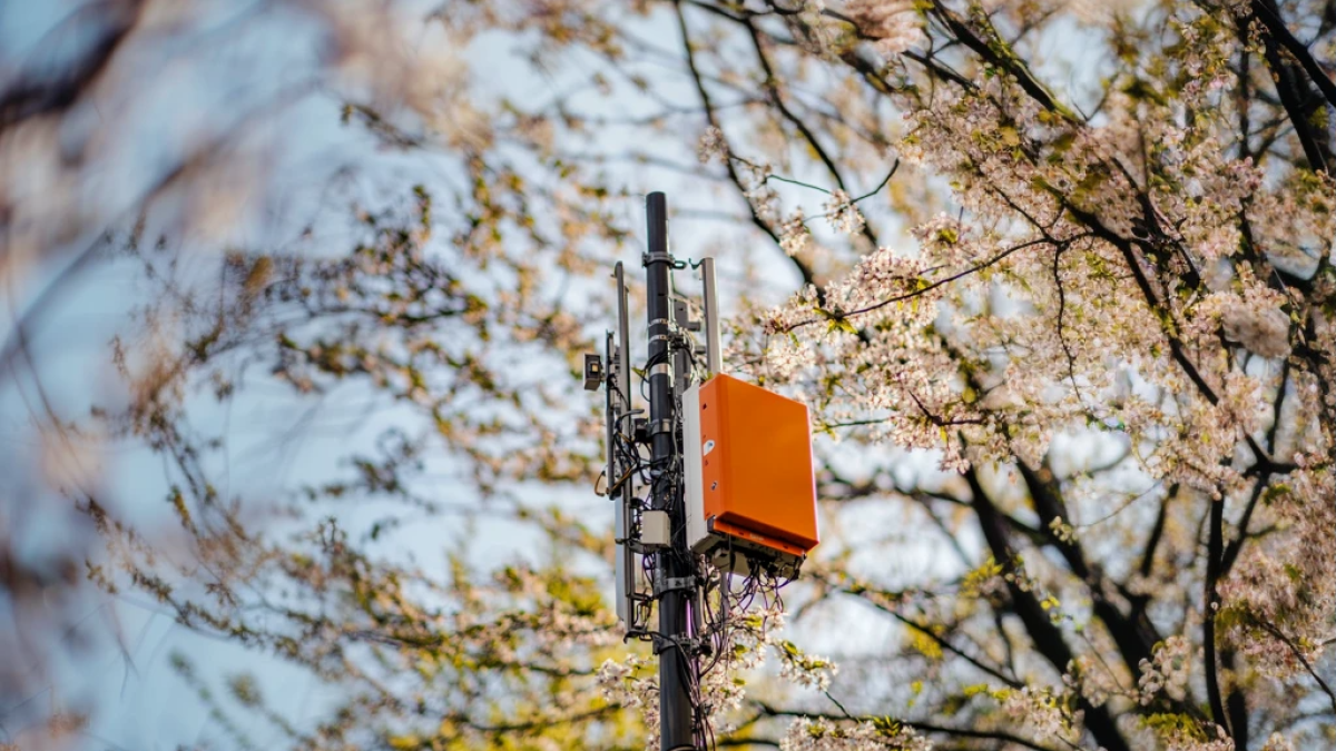 Свет вместо радио: оператор Т2 модернизирует транспортную сеть в Сибири Базовая станция. Мобильный интернет