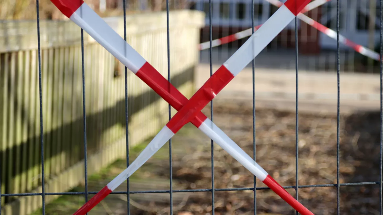 Количество очагов бешенства на Алтае достигло 44 с начала года: где ввели карантин