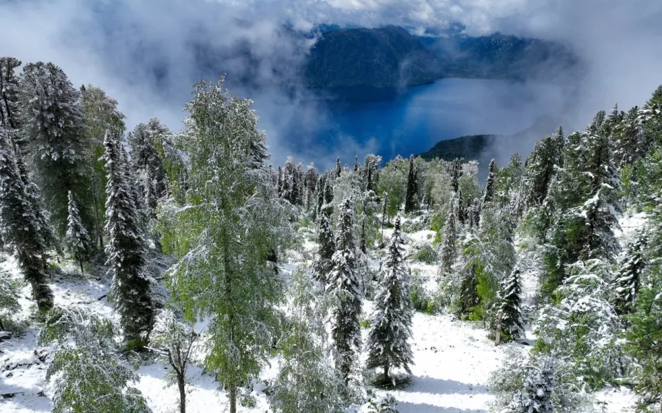 В Алтайском заповеднике поделились фотографиями заснеженной майской природы