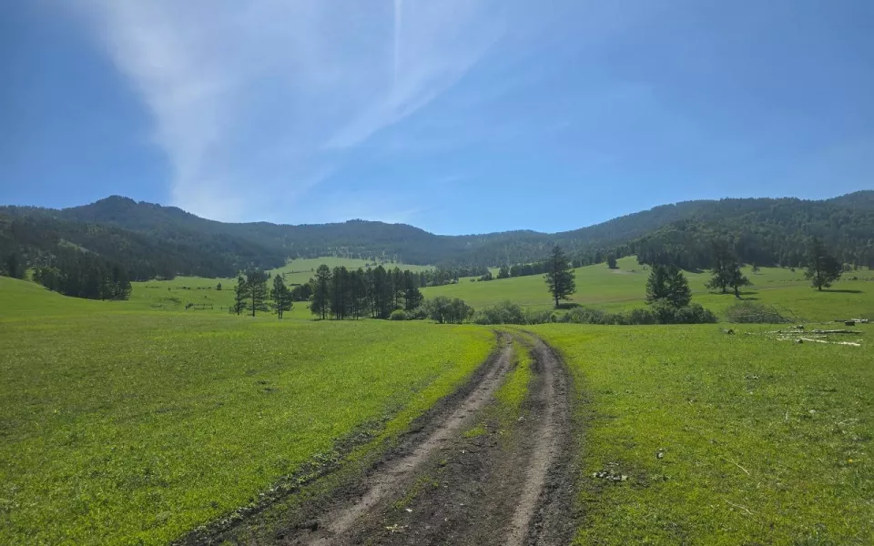 Томский университет передаст около 2,5 тысячи гектаров земли жителям Горного Алтая