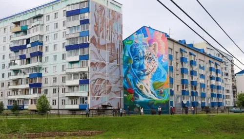 Эвалар и самый известный стрит-художник России GOOZE ART создали мурал на Алтае