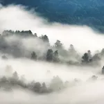 Сказочные туманы заволокли прителецкую тайгу. Фото