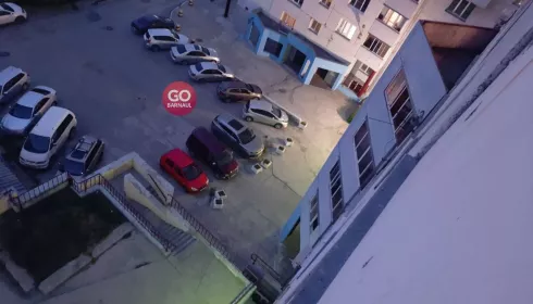 Неизвестный открыл стрельбу по детской площадке в Барнауле: ранен ребенок