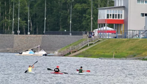В Барнауле планируют запустить транспорт до водного парка Лапа и гребного канала