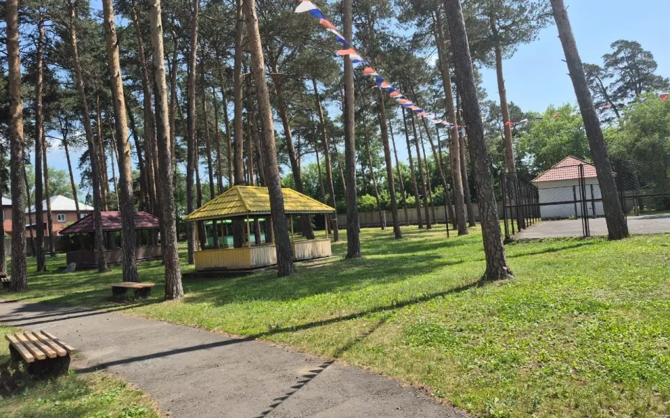 Путевок нет: что творится в детских лагерях перед началом сезона в Алтайском крае