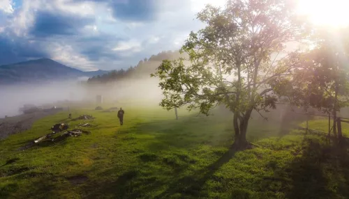 В Алтайском заповеднике показали сказочные кадры затуманенного Телецкого озера