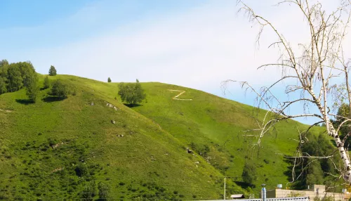 Более 10 тысяч гектаров преобразуют в Майминском районе Республики Алтай в рамках КРТ