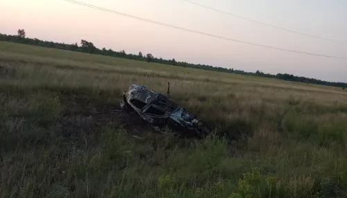 Сбили косулю и загорелись: три человека погибли в страшном ДТП в Славгороде