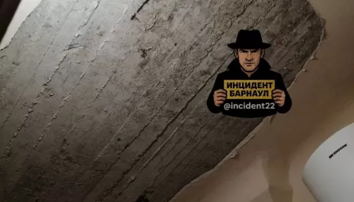 Соцсети: в квартире дома на Хабаровской в Барнауле обрушился потолок