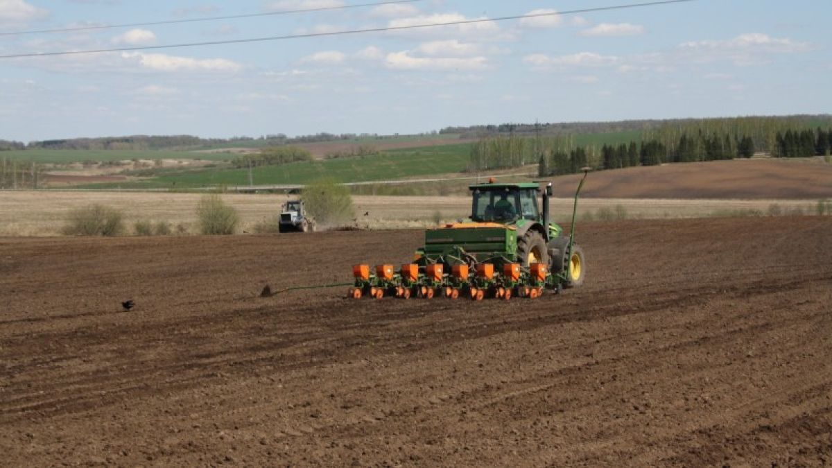 5,3 млн гектаров полей будет засеяно в Алтайском крае в 2019 году