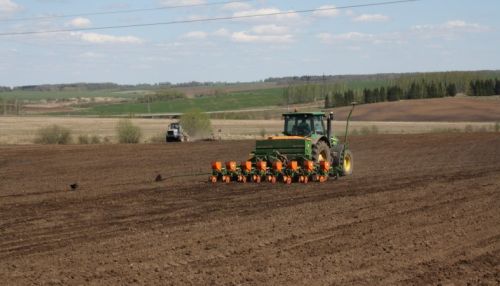 5,3 млн гектаров полей будет засеяно в Алтайском крае в 2019 году