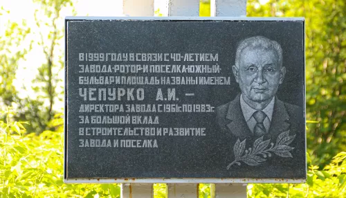 Аллею имени Чепурко на Южном в Барнауле благоустроят за 38 млн рублей