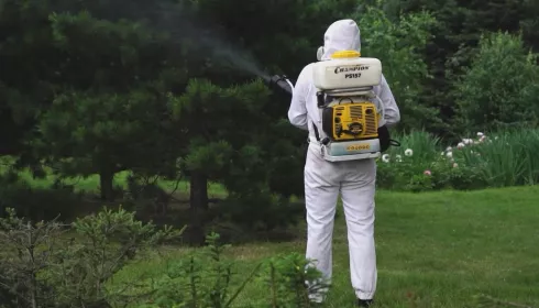 Почти 270 гектаров территории Барнаула обработают от клещей и комаров: список