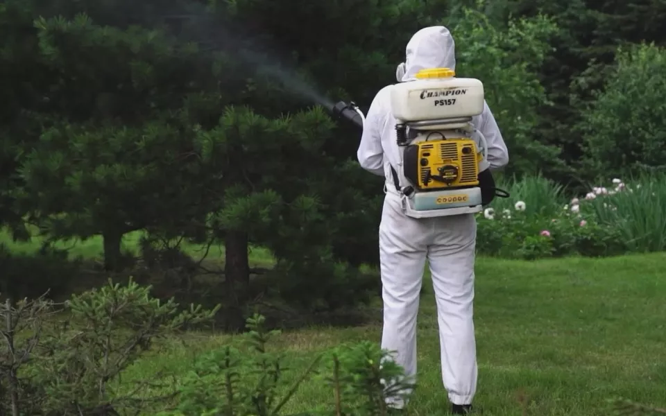 Стало известно, когда в Барнауле будет меньше комаров