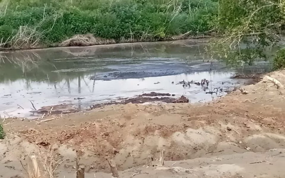 Быстро не нейтрализуется: алтайские власти объяснили причину зловония у Березовки