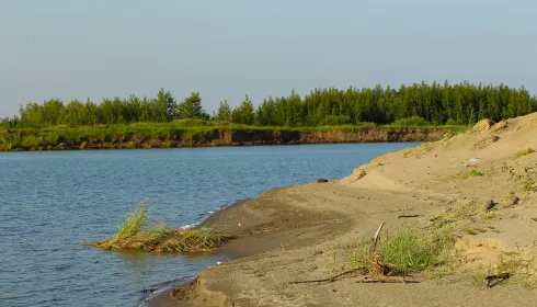 Лагуны в золотых песках: как изменились волшебные дюны под Барнаулом. Фото