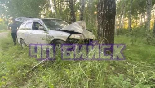 Автомобиль въехал в дерево недалеко от озера Уткуль в Алтайском крае. Фото