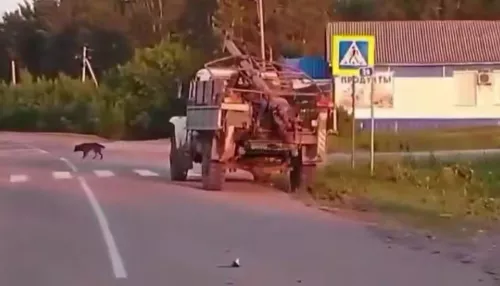 Подросток в Алтайском крае влетела в грузовик на питбайке. Девочка не выжила