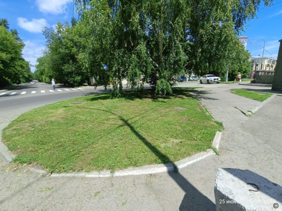Покос травы в Барнауле Покос травы в Барнауле