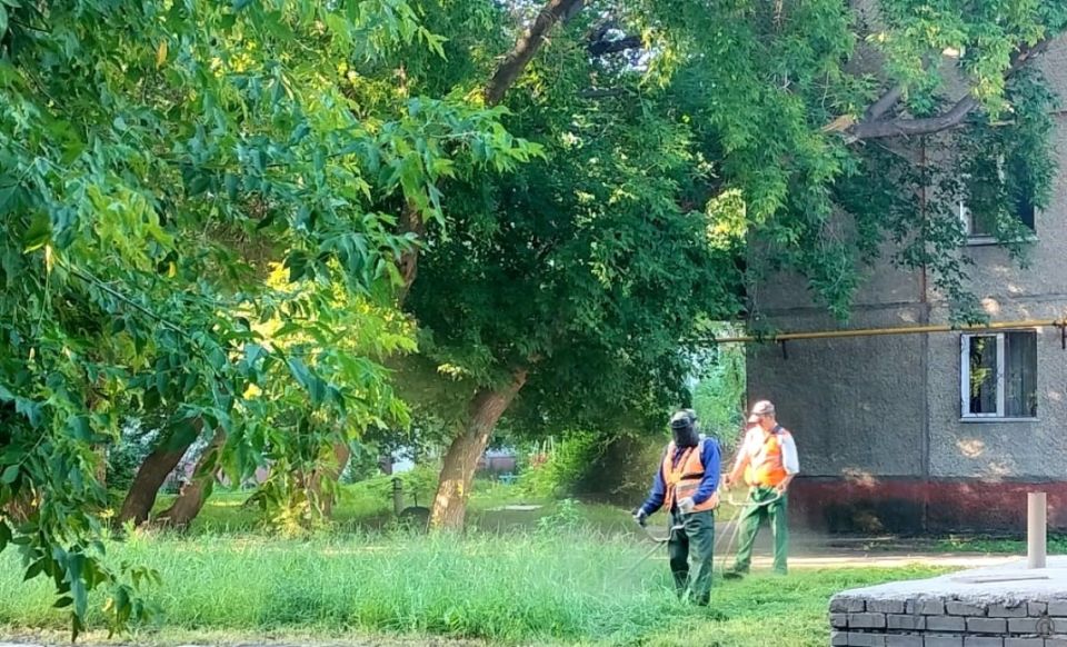 Покос травы в Барнауле Покос травы в Барнауле