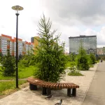 В Барнауле завершается голосование по установке детской площадки в сквере Взлетный