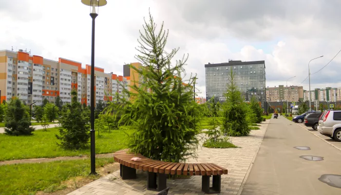 В Барнауле завершается голосование по установке детской площадки в сквере Взлетный