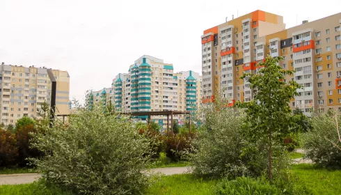 Барнаульцы поддержали установку детской площадки в сквере Взлетный