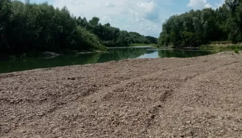 Не время собирать камни: в Шипуновском районе встревожены добычей гравия на Чарыше