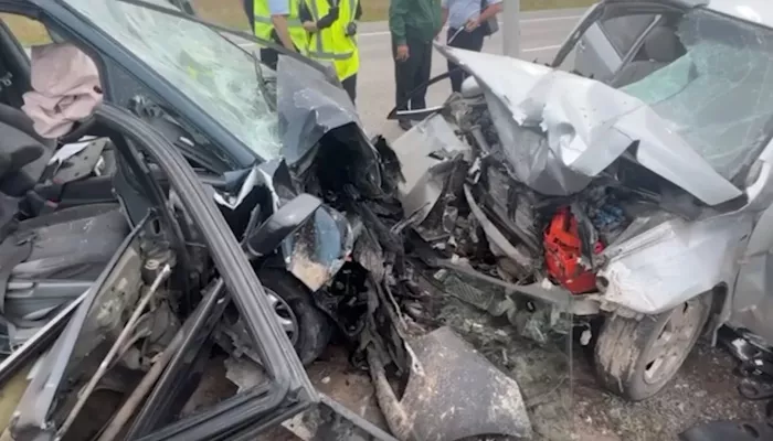 Опекун девочки, выжившей в автокатастрофе под Шипуново, рассказала о ее состоянии
