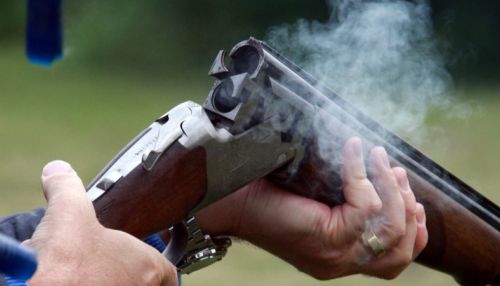 Житель алтайского села устроил стрельбу из незаконного ружья