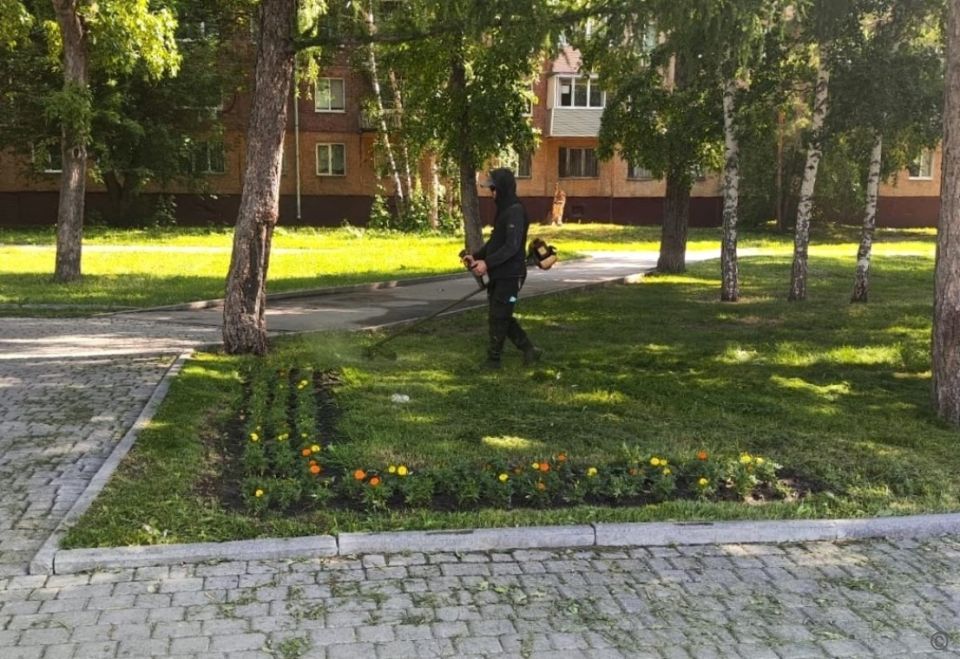 Покос травы в Барнауле