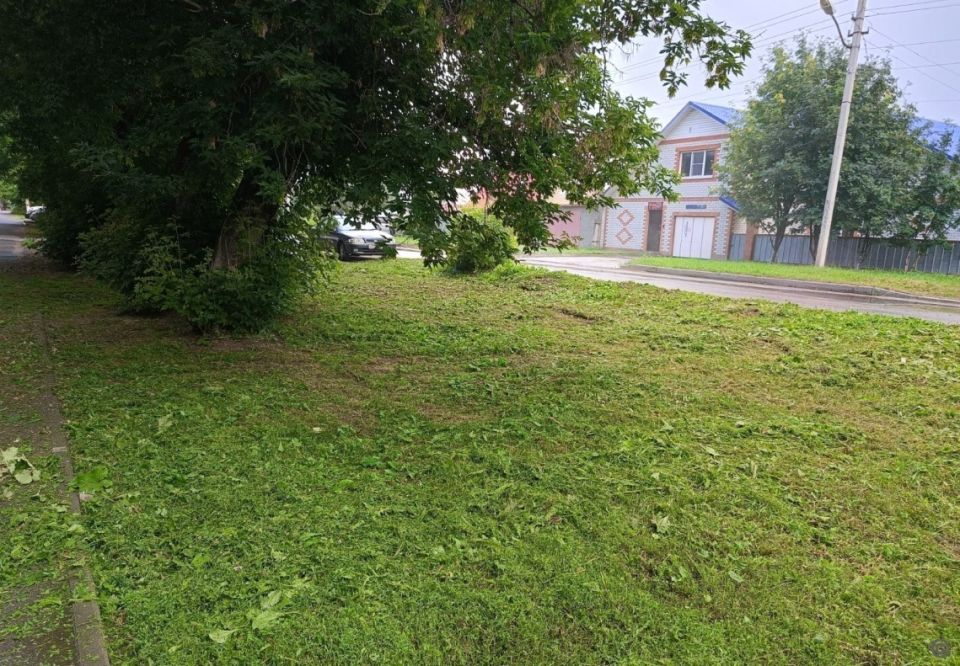 Покос травы в Барнауле