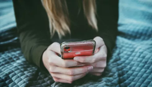 Алтайский край атаковали фейковые сообщения о нападениях на школы