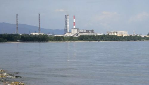 Власти: ситуация с заводом по розливу воды на Байкале прояснится в апреле
