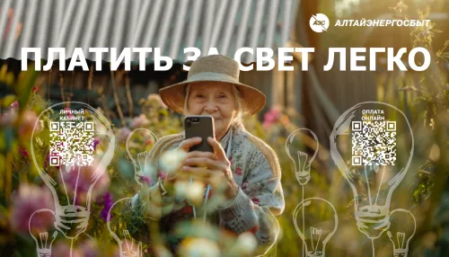 Алтайэнергосбыт: простые способы оплаты электроэнергии онлайн