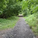 На Потоке в Барнауле появится новая пешеходная зона в виде зеленой аллеи