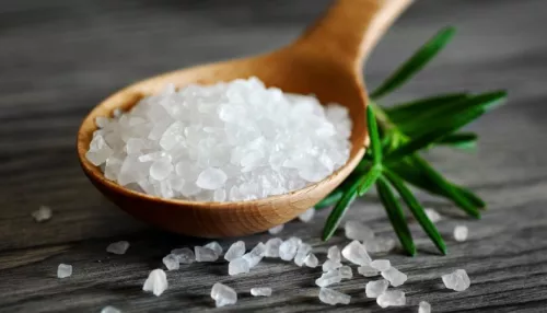 В Алтайском крае запатентовали комбайн для добычи соли из озер