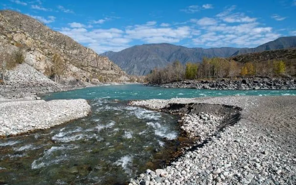 Спасатели нашли тела унесенных течением в Катунь туристов из Бийска