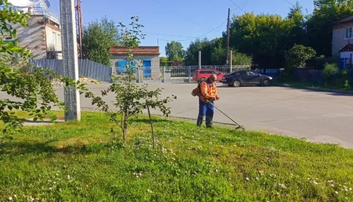 Барнаульский перевозчик не сумел отсудить компенсацию за каменный артобстрел